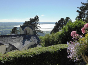 Гостиница Plas Heulog Holiday Cottages  Лланфэрфечан